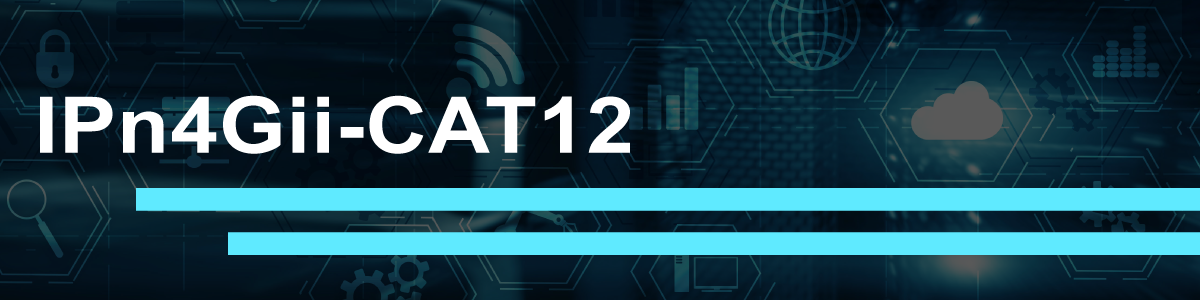 IPn4Gii-CAT12 Banner